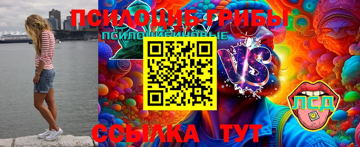Галлюциногенные грибы GOLDEN TEACHER Лысьва