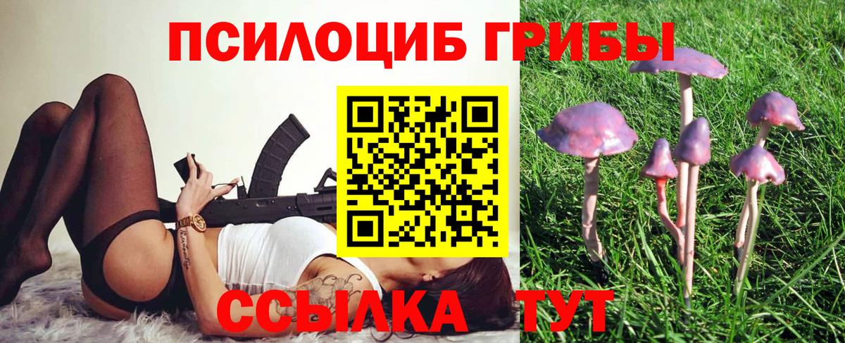 Лысьва  Псилоцибиновые грибы прущие грибы  Вход с VPN 